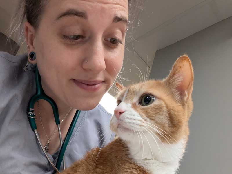 Veterinary Resources for your Pet